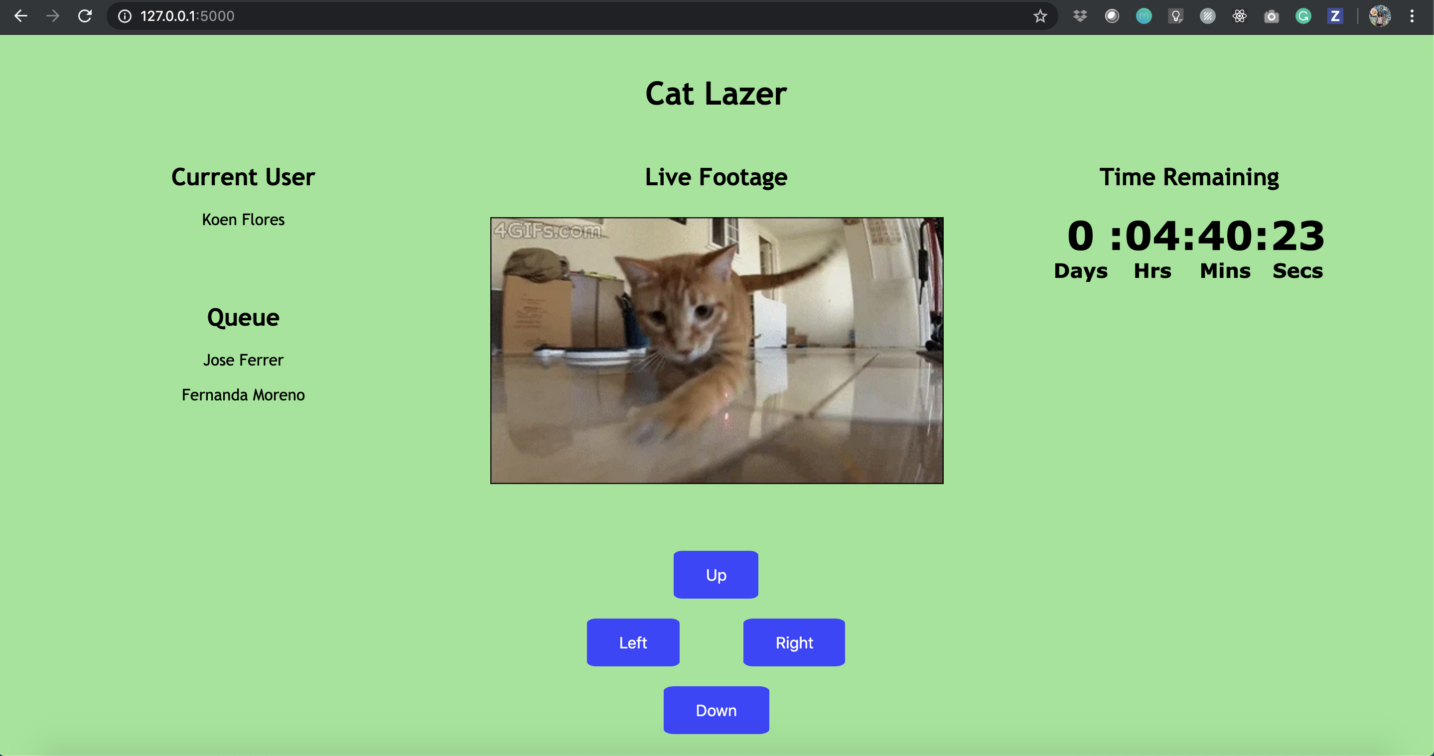 Front-end for Cat Lazer web app